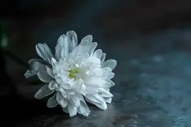 "对方看起来很干净"——个艾滋病晚期患者的临终独白，要是早点去检测就好了图片