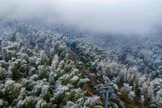 明月山下雪啦→1月20日雾凇、雪景、山岚如约而至！