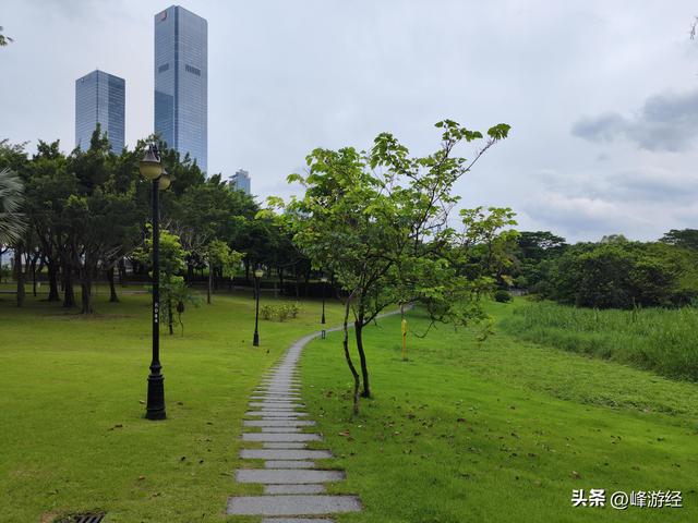 徒步穿越深圳中心公园，超一线城市的绿肺