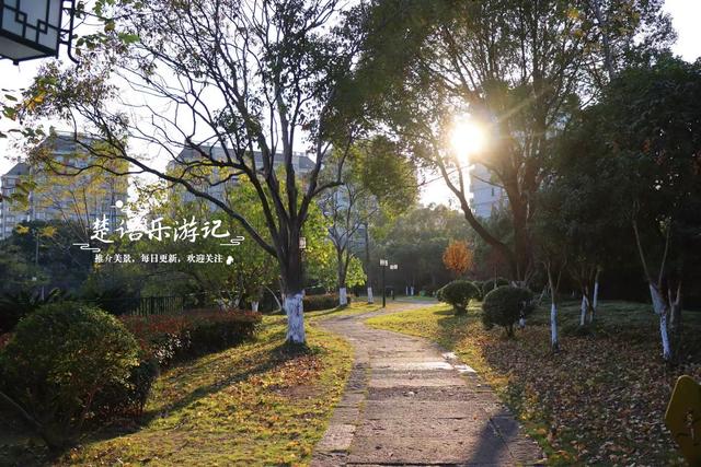 浙江宁波这处风景的秋色堪比诗画，人少景幽休闲很惬意，值得推荐