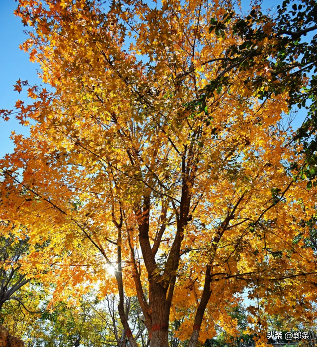 武安洺湖的初冬超治愈