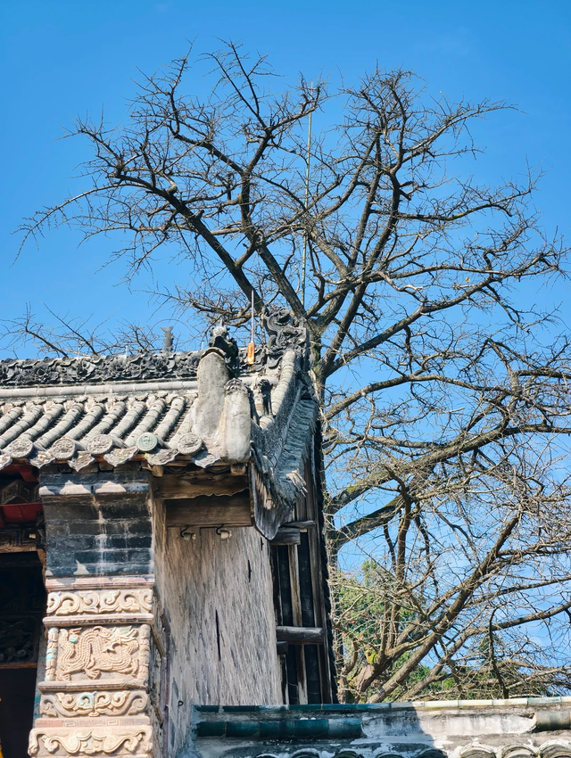 冷门！成都1h可达的龙脊古道徒步路线，人少景美，快冲！