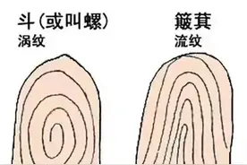 “十指无斗，一生富有”，没有斗会富有是真的吗？你有几个斗？图片