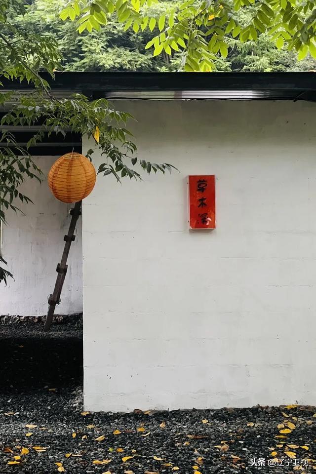 走!去本溪的山里过夏天,随手一拍都是《国家地理》同款