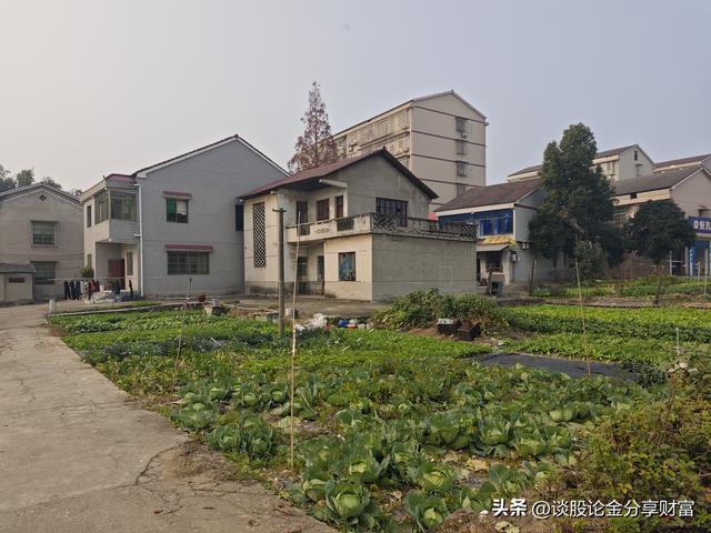 晴日青龙洲，一程春光一程忆