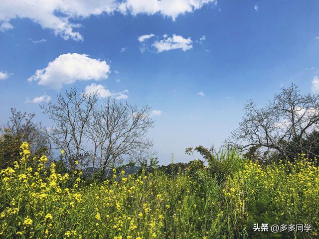 被列入国家非遗的哈尼族“昂玛突”，藏着最朴素的生存哲学