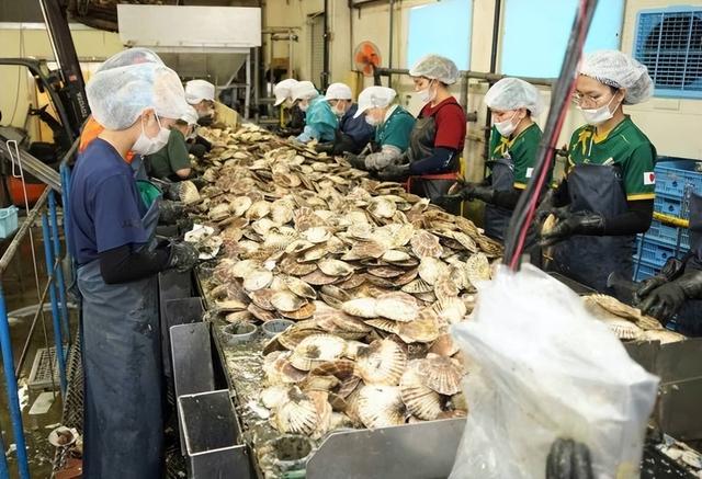 沉默14天高市再做表态：涉台立场不变但求网开一面，中方严肃回应