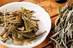 白茶是属于什么茶类？什么是白茶？其实很多茶友还真不知道图片