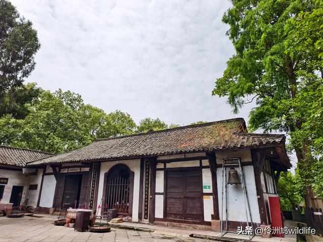 成都徒步（64）·新津篇③观音寺