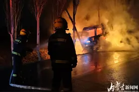 司机犯困打盹致挂车撞树起火油箱爆炸图片