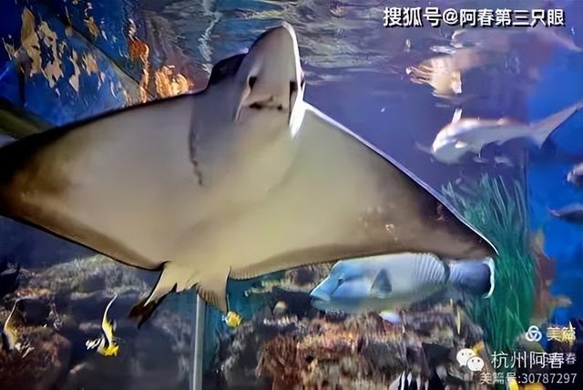 大连 之海洋世界