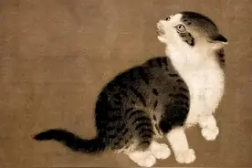 青海地区的“猫鬼神”，到底是什么神，为何被不少家庭世代供奉？图片