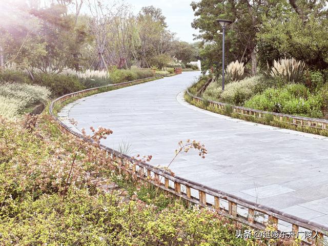 国庆假期来太湖边大有秋 远山近水丰收景 竺山书院福寿寺 蒋捷古墓