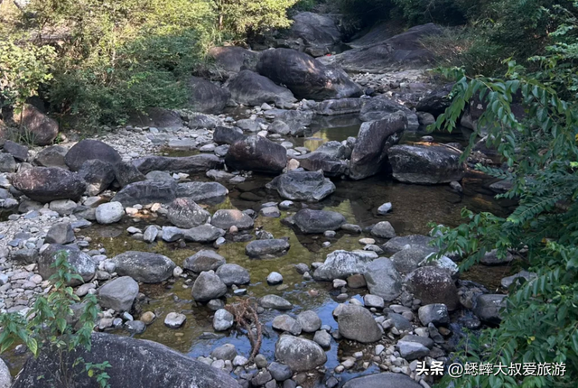 秋日赏玩来浙江“限免”4A景区吧，95%的森林覆盖率，超惊艳！
