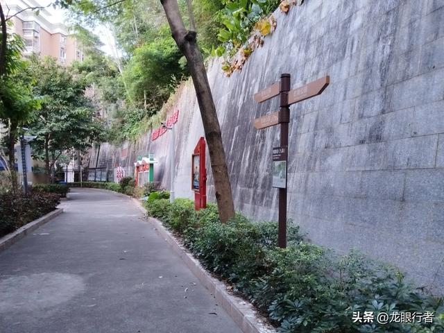 从地铁口出发,游逛刚刚开放的鲲鹏径二号及三号桥