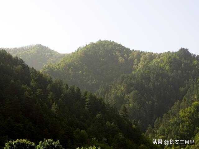 从宝鸡到汉中，“假装”走了一趟陈仓古道