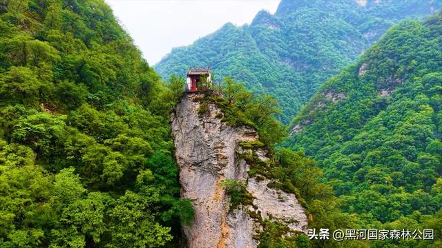 西安“热情”上热搜？么事！黑河国家森林公园让你感受山间清凉一“夏”