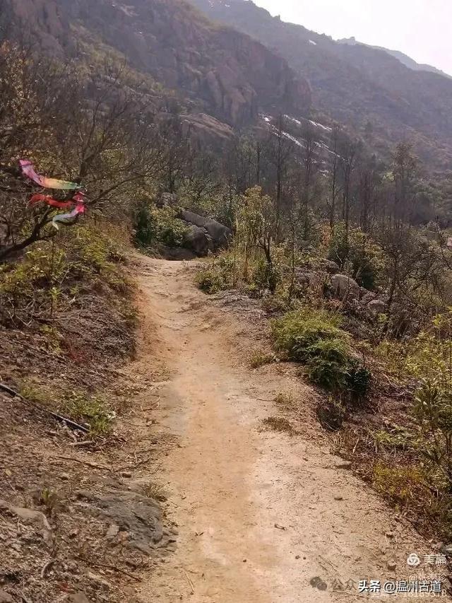 大罗山这条改造过的登山步道你可去过?