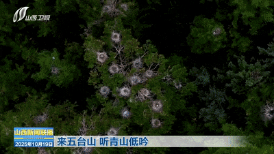 来五台山 听青山低吟