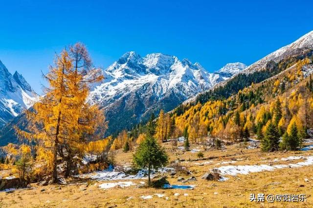 是什么让资深驴友每年秋天都偷偷跑去川西？？