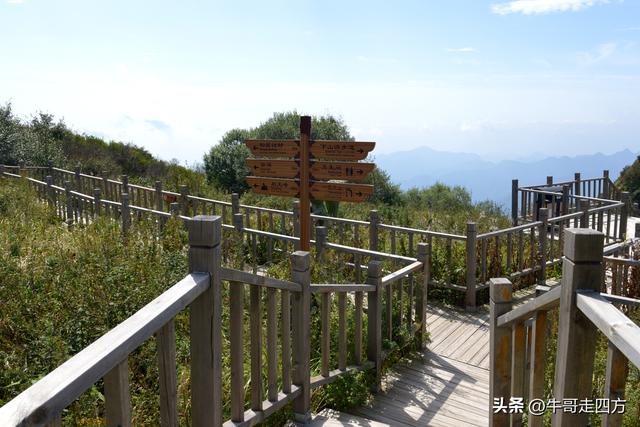 河北百草畔（中）：览尽三山舒望眼，行穿百草浣尘襟