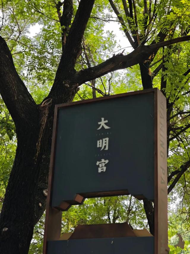 在未央，雨是历史的回响 也是生活的烟火