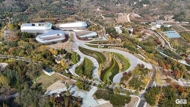 处处皆美景 初冬的世博园被焦糖色填满