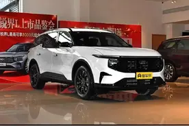 福特锐界L 纯油车真实油耗图片