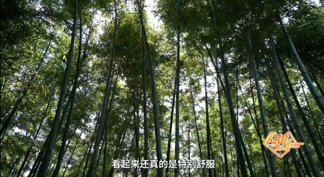 上海市中心又一公园拆除围墙！24小时开放！内藏明城墙和宝藏机位！怎么还有个“灶披间”？