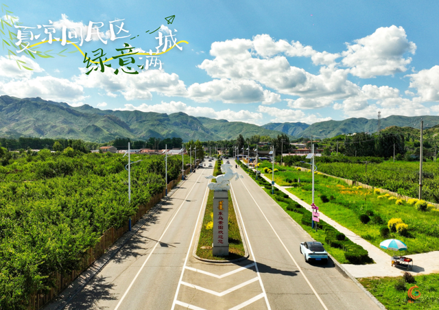 呼和浩特市回民区的夏天，是“植”得N刷的绿！