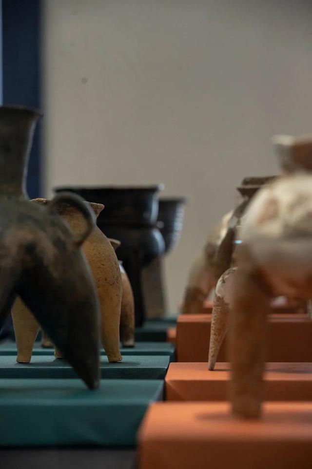 玉架山考古博物馆新展开幕！首次系统展示！