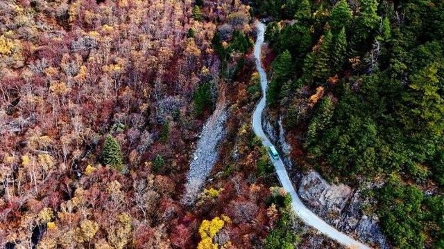 四川这个地方的初冬，是彩色的！