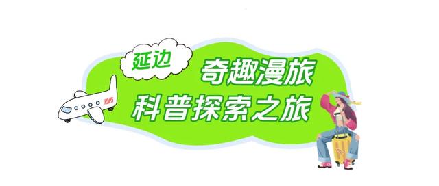 大学新生专属福利！免票+优惠→