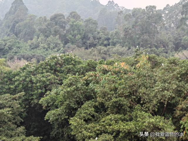 参观广州长隆野生动物园，全程感觉眼累手累腿不累
