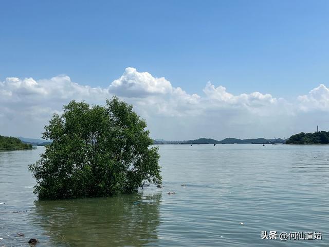 游南沙海滨公园