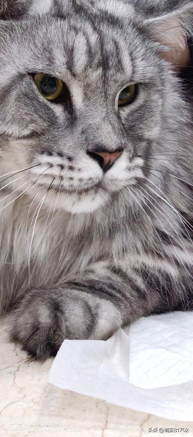 情是一个无价值的东西，有时候不能金钱和物质来衡量