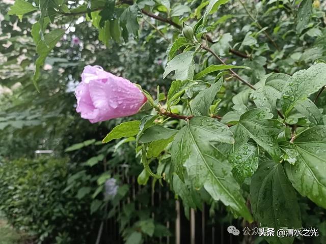 【江苏】刘志华：九月美景