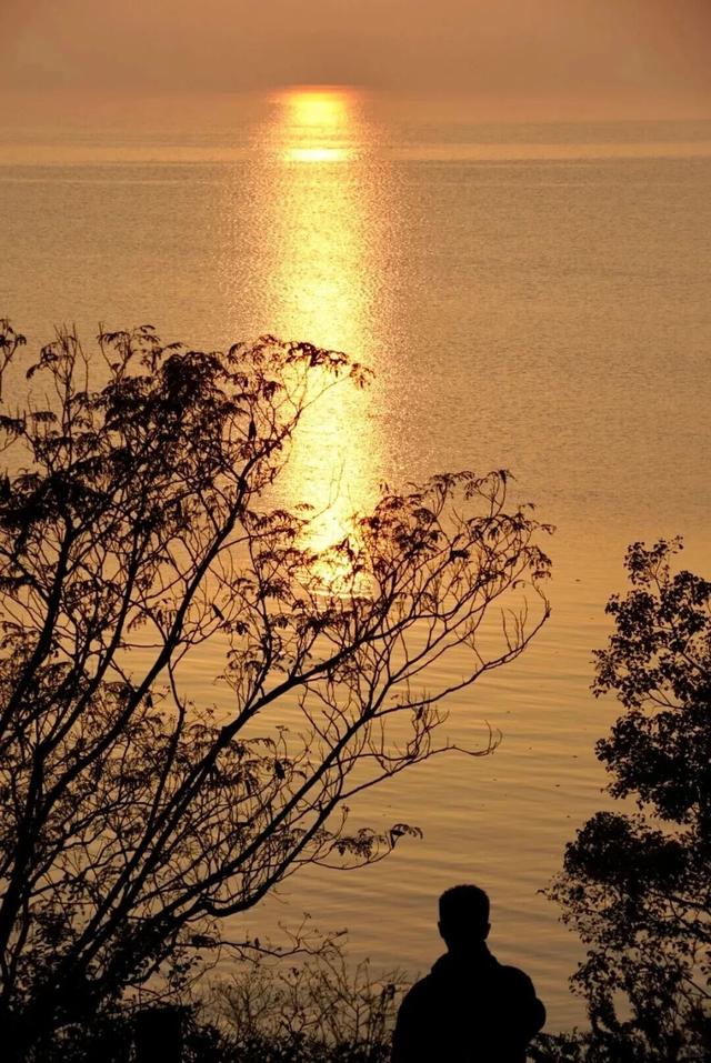 真的很美！2025苏州太湖观鸟超详细攻略来啦！