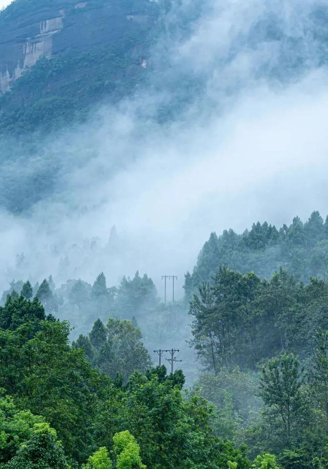 在剑阁，探索古迹与自然的完美之旅