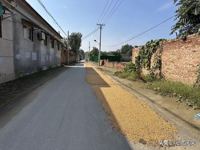 冠县乡韵·兰沃乡大柳邵村