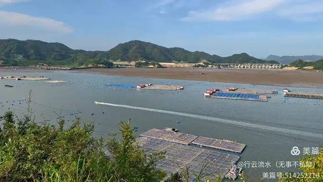 彩色旅图｜光影里的霞浦：滩涂、古树与渔排的诗意时光