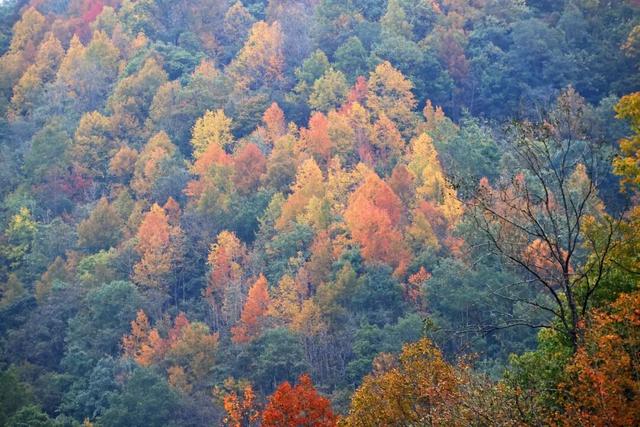 让我再看你一眼🧡