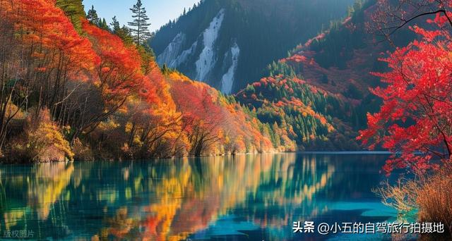 九寨沟秋季赏枫！10 月下旬高光期必看，新徒步线 + 隐藏机位全解锁