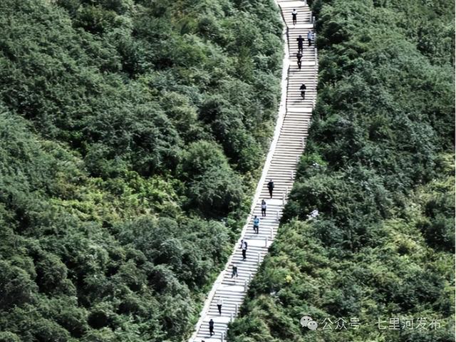 七里河好风光：这份公园游玩攻略请收好！