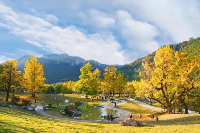 藏不住了！嘉陵镇这份治愈系美景，承包你所有的诗和远方～