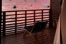 惊爆！揭开NPD血包矩阵的神秘面纱，别再被情感操控了图片