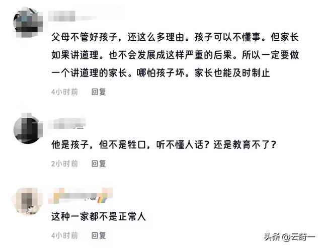 飞机打架后续：一家四口齐上阵，女子被推倒在地，始作俑者是孩子