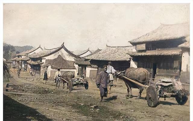 党建“红线”串珠成链 思茅老街聚力融合焕新颜