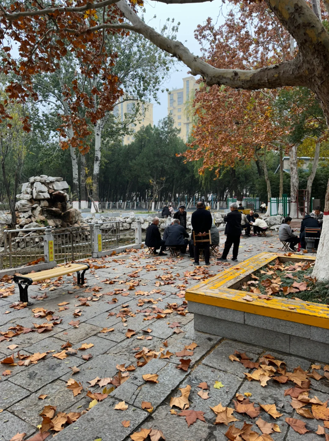 去公园，寻找城市的“书签”