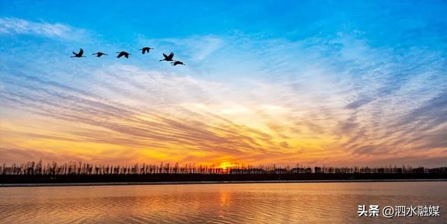 咔嚓🤳！抓住济宁秋天的“小尾巴”~